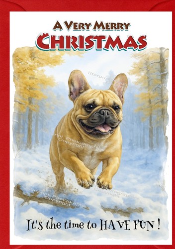 French bulldog christmas - french, card