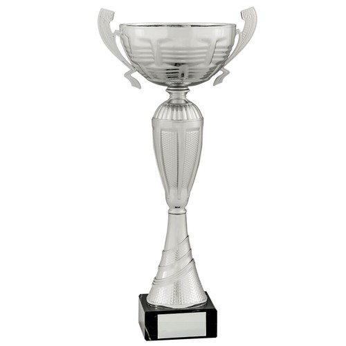Large silver cups with handles - silver,