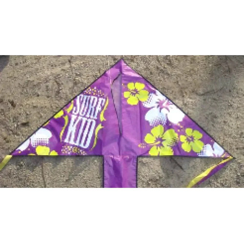 Single line kite - with, tail