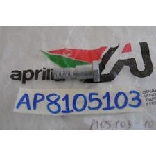 Screw TE 10X18 fixing Side stand Aprilia RS 250