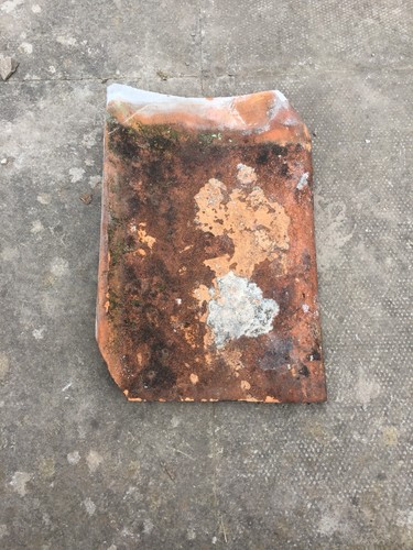 Single pan roof - pan,