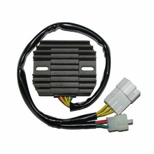 Electrosport Regulator for