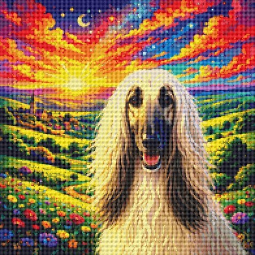Afghan hound puppy - hound, dog: