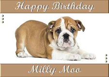 british bulldog personalised A5 birthday card daughter sister niece name age