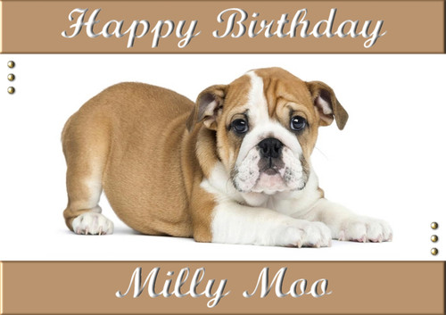 British bulldog personalised - bulldog,