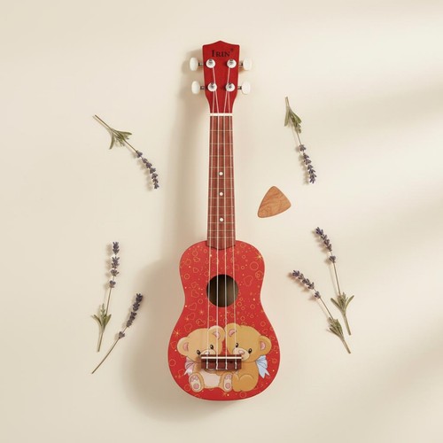 Inch ukulele compact 4 - 21-inch,
