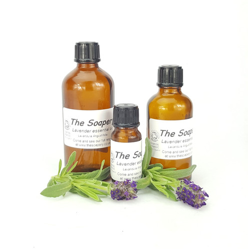Lavender essential oil - essential, organic