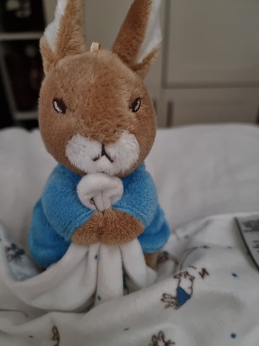 Cute plush blue beatrix - plush,