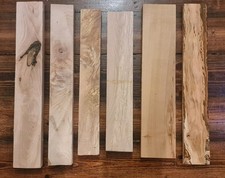 Dense english hornbeam - dense, hornbeam,