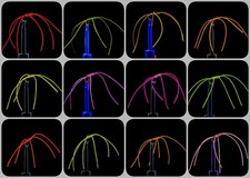 15 x Apps Bloodworm Mixed