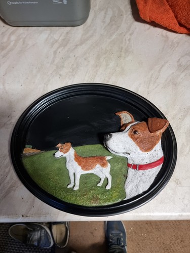 Jack russell house - jack, number