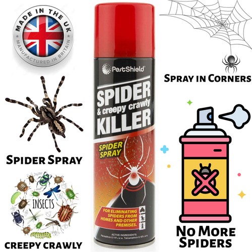 More spiders spider - no,