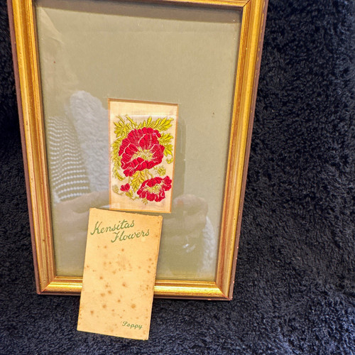 Kensitas wix flowers - kensitas/wix,