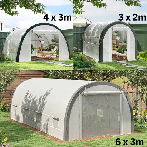 Large walk polytunnel - walk,