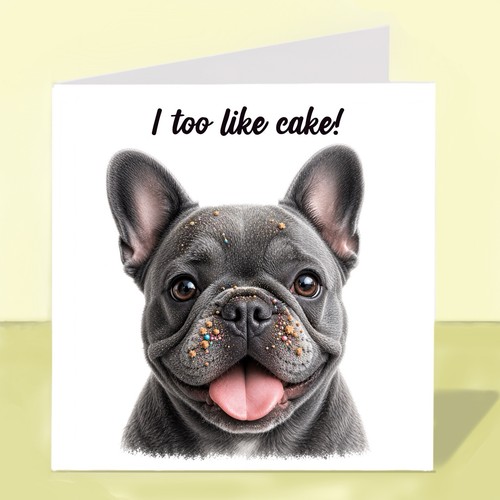 French bulldog dog - bulldog,