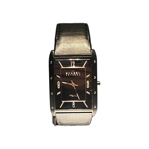 Skagen denmark titanium men - skagen,