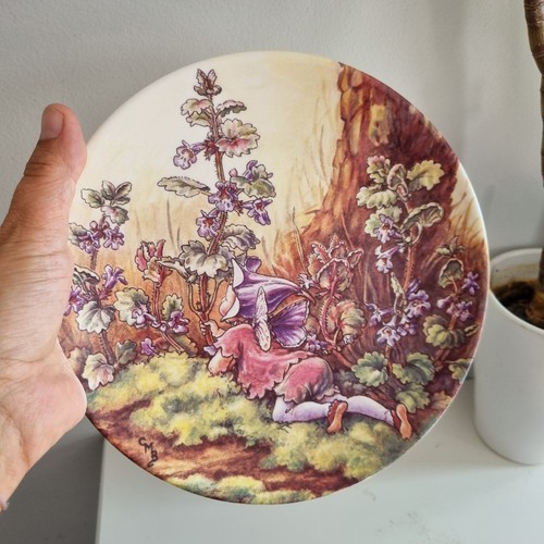 Wedgwood flower fairies - wedgwood, fairies"