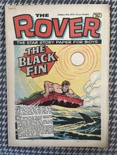 The Rover Comic - January 15th