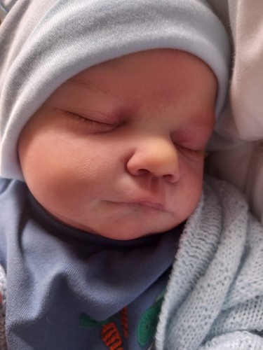 Reborn baby boy - reborn,
