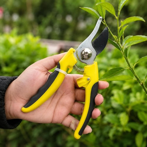 Garden secateurs carbon - carbon, steel