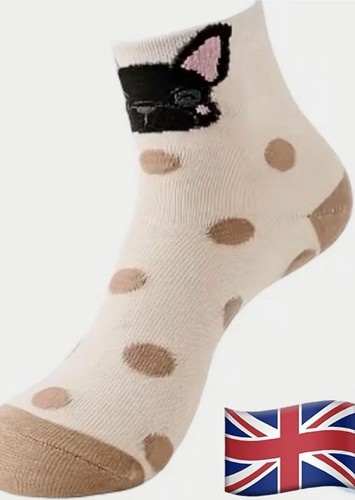 Frenchie pug terrier french - frenchie,