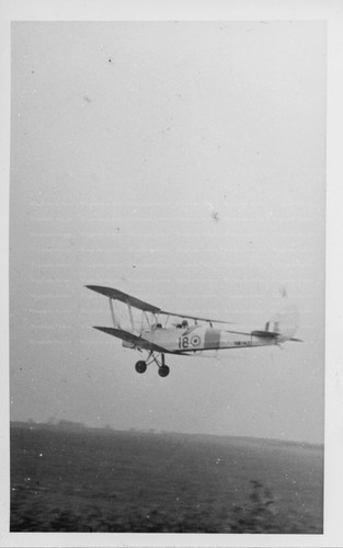 Tiger moth original - -,