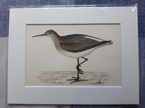 Antique print hand coloured - antique, print:
