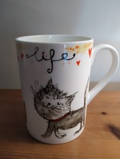 Rose of England 'It's A Cat's