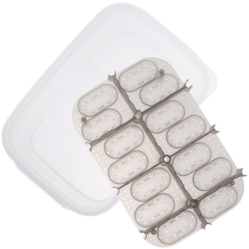 Reptile incubation box turtle - reptile,