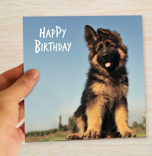 German shepherd birthday card - german,