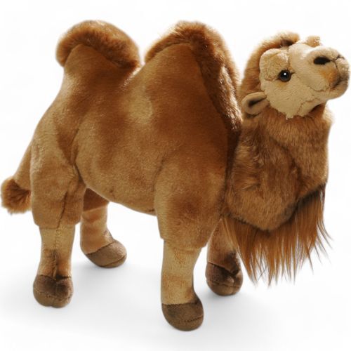 Camel bactrian approx - camel,,