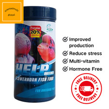 1 Flowerhorn Fish Foods CZ