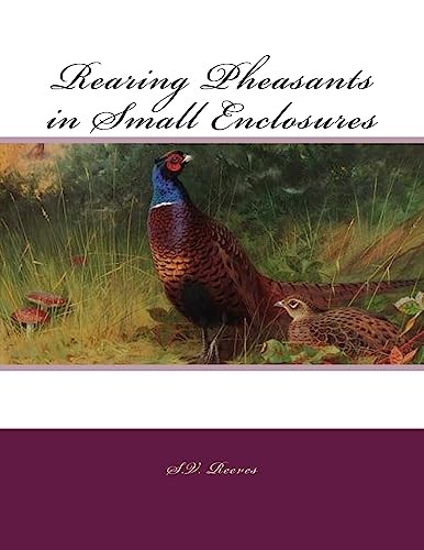 Rearing pheasants small - rearing, in