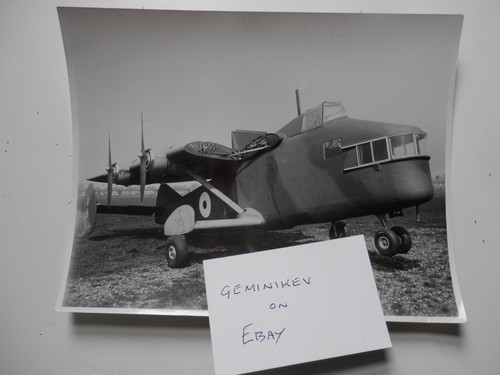 Large original photo general - original, photo.