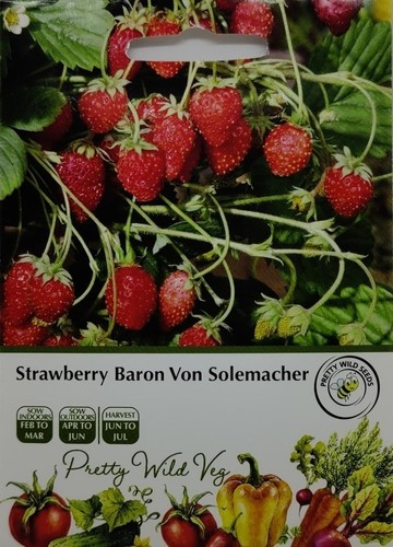 Vegetable seeds pictorial - seeds,