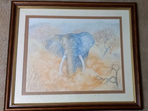Elephant wooded savannas - in,
