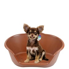 Heavy Duty Plastic Waterproof Pet Dog/Cat Bed Basket Small Brown Puppy