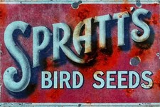 Spratt's Bird Seed Vintage