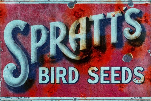 Spratt bird seed vintage - seed,