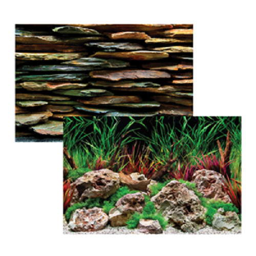 Seaview quality aquarium fish - quality,