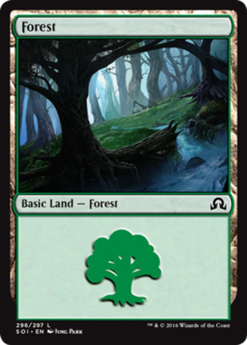 Forest shadows over - (296),