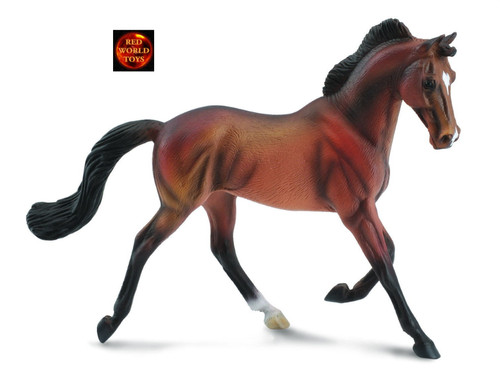 Thoroughbred bay mare horse - thoroughbred,