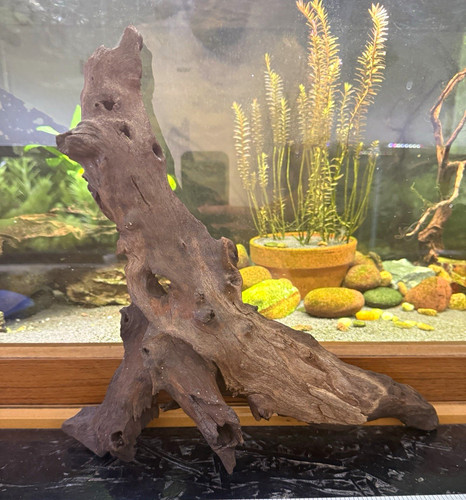 Natural aquarium driftwood - natural,