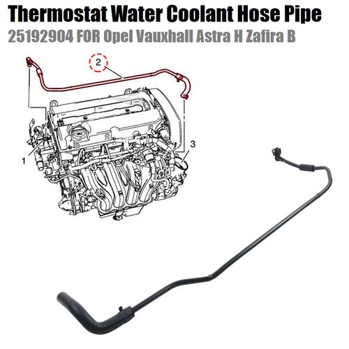Thermostat water hose - water,