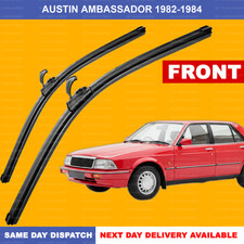For Austin Ambassador