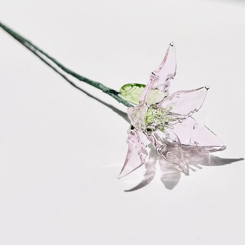 Eternal glass flower - eternal,