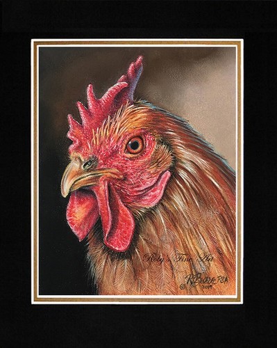Matted chicken art print - matted,