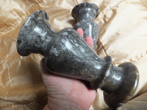 Pair fossil stone - pair,