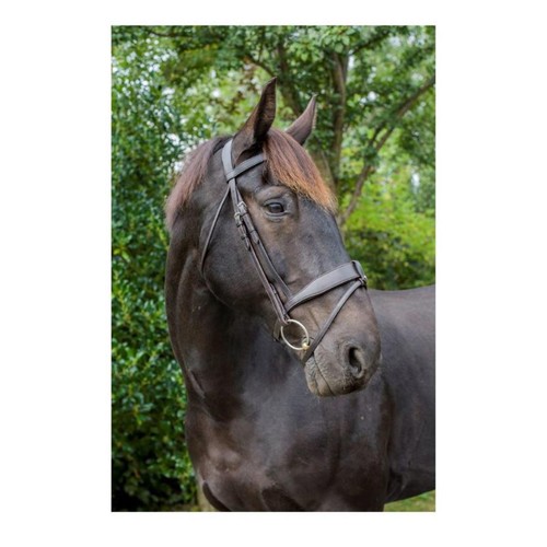 Eco rider ultra comfort - eco,