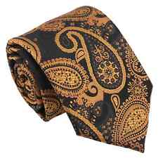 Mens Modern Style Classic Tie Paisley Bohemian Formal Wedding Necktie by DQT